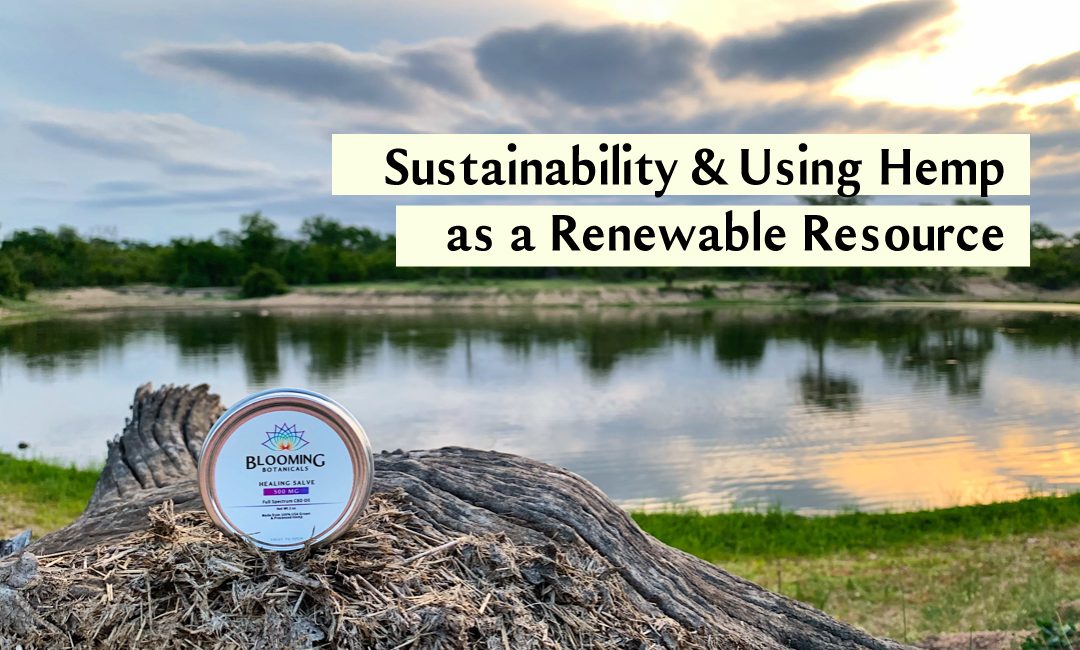 Using Hemp as a Sustainable and Renewable resource