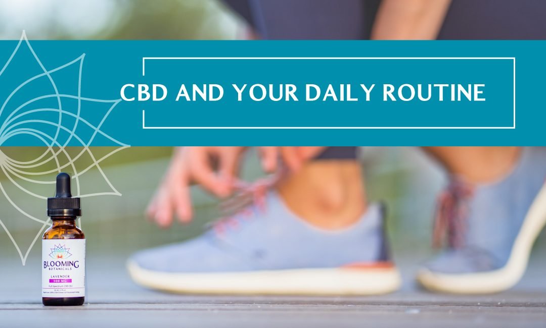 CBD and Your Daily Routine