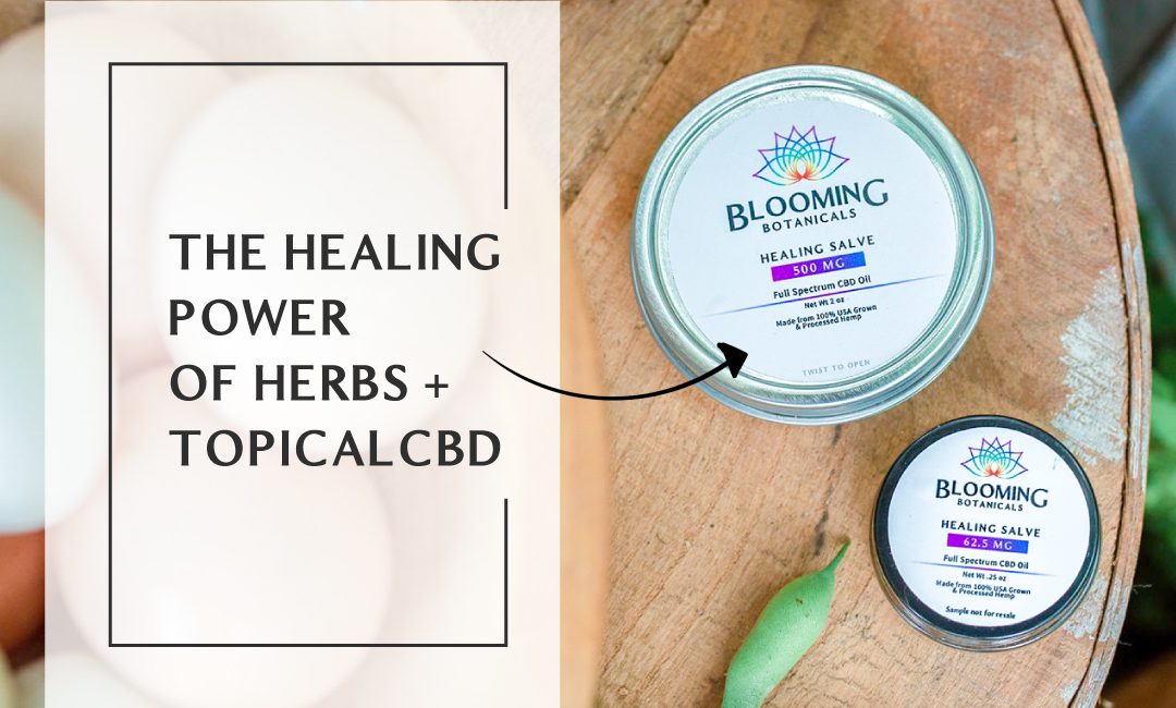 CBD Topicals + The Healing Power of Herbs
