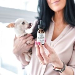 Smiling woman holding a Chihuahua in one
hand and having a CBD oil for dogs from Blooming Botanicals in another