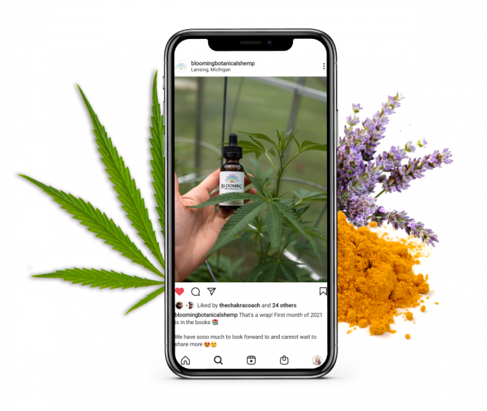 Blooming Botanicals Hemp instagram account mockup with hemp leaf, turmeric powder, and fresh lavender