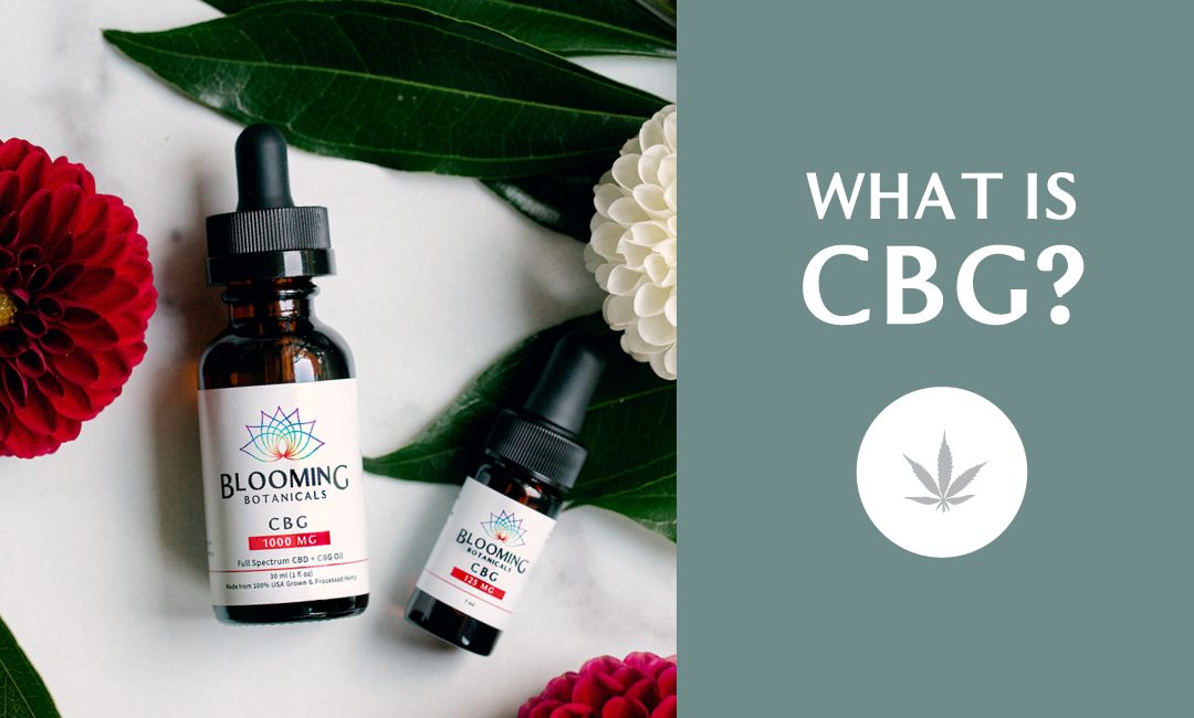 What is CBG (Cannabigerol)? The beginner’s guide