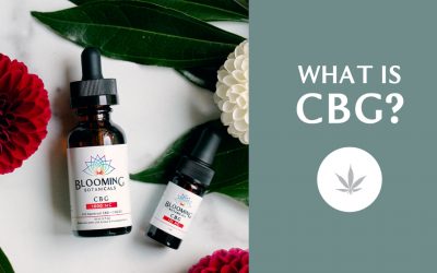 What is CBG (Cannabigerol)? The beginner’s guide