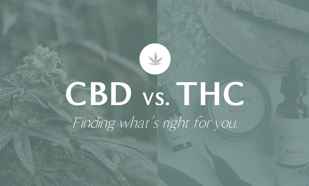 cbd and thc side by side with text, CBD vs. THC finding what's right for you