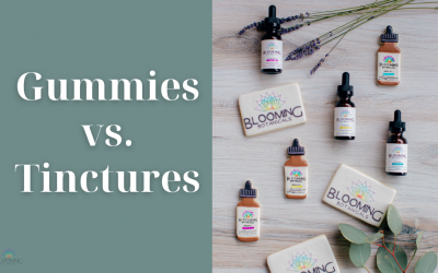 Gummies vs. Tinctures (What’s Right for You?)