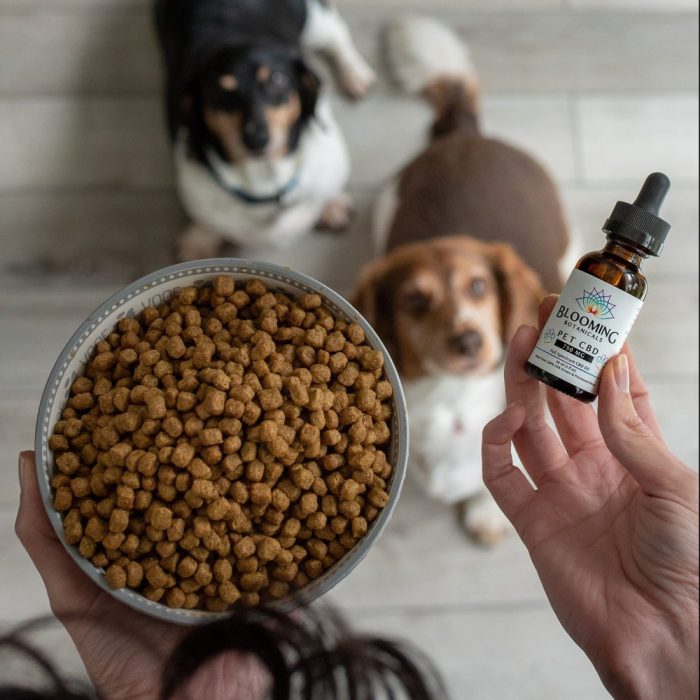 2 dogs with dry food and pet cbd