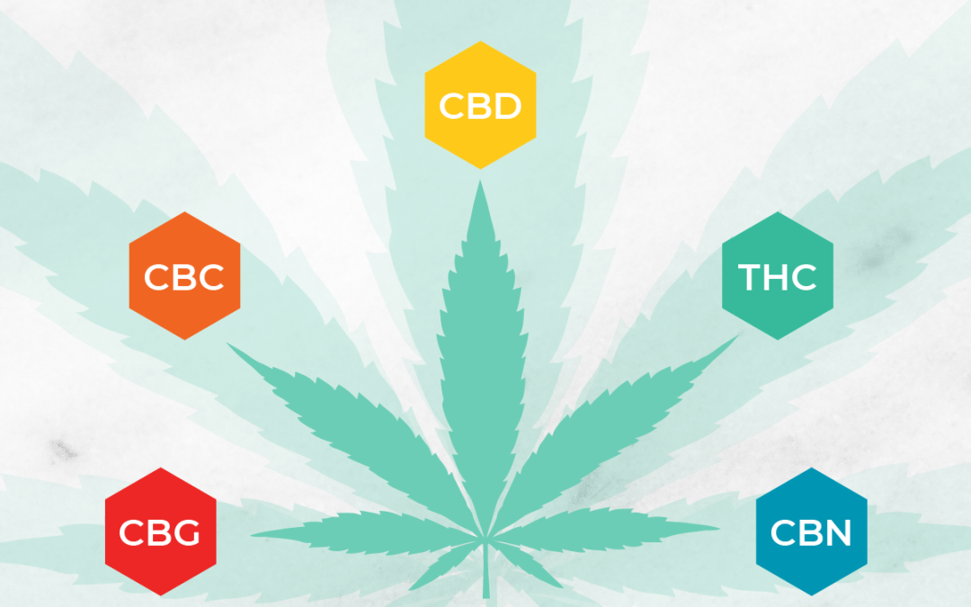 Does CBD Get You High?